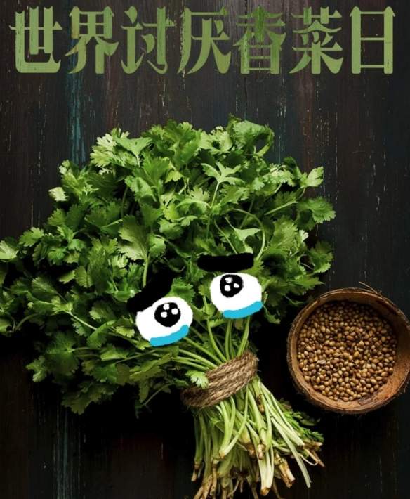 2月24日世界讨厌香菜日!你要加入反香菜联盟吗?(图1) 游侠网1