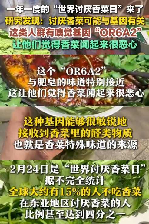 2月24日世界讨厌香菜日!你要加入反香菜联盟吗?(图3) 游侠网3