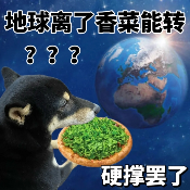 2月24日世界讨厌香菜日!你要加入反香菜联盟吗?(图11) 游侠网11