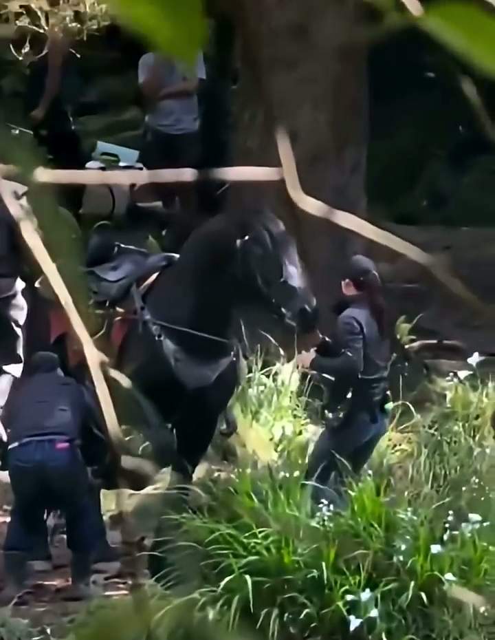《塞尔达传说》真人电影片场视频泄露 装扮还原游戏(图4) 《塞尔达传说》真人电影片场视频泄露 装扮还原游戏