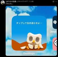 多邻国猫头鹰离世轰动各界 日本的自称有核辐射命超硬(图9) 游侠网8