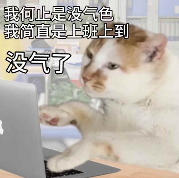 又到了一年一度的西方情人节,你会怎样度过呢?(图10) 游侠网9