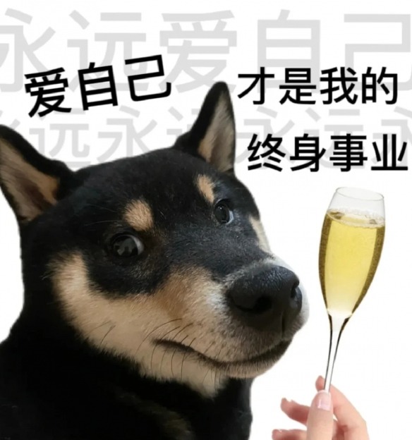 又到了一年一度的西方情人节,你会怎样度过呢?(图13) 游侠网12