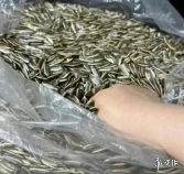 因为讨论魂游时发生口角,某站员工私自给用户账号投毒?(图3) 游侠网3