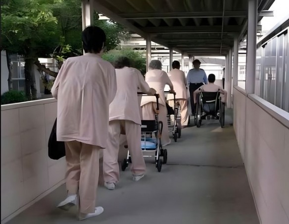 曝日本65岁以上囚犯数量激增:包吃包住还有人陪!(图3) 游侠网2