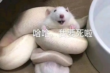 2025年了，大伙的电子榨菜怎么会是赛博“除四害”？