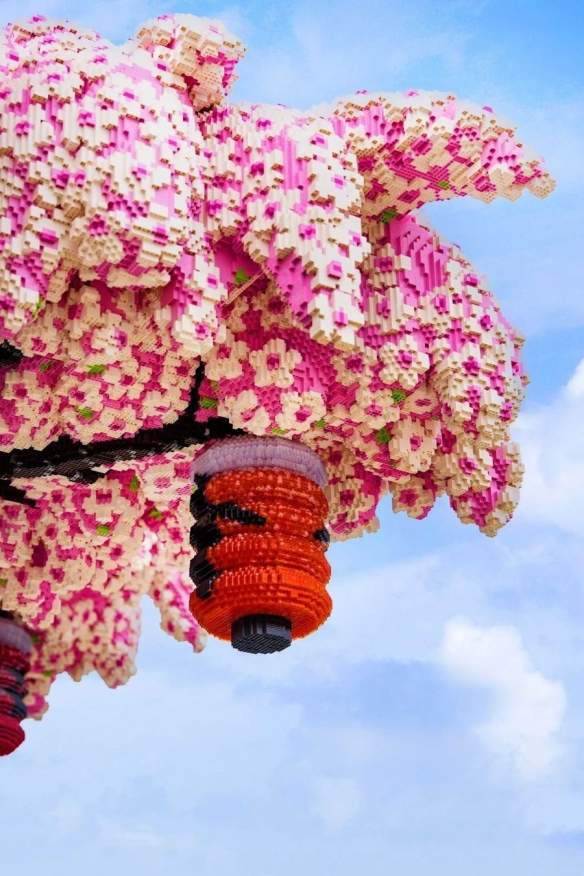 游侠网6