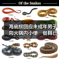 海底捞回应未成年男子向火锅内小便:餐具已全部更换(图1) 海底捞回应未成年男子向火锅内小便:餐具已全部更换(图1)