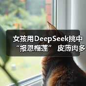 女孩用DeepSeek挑中“报恩榴莲” 皮薄肉多引网友热议(图2) 女孩用DeepSeek挑中“报恩榴莲” 皮薄肉多引网友热议(图2)