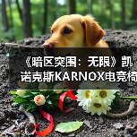 《暗区突围：无限》凯诺克斯KARNOX电竞椅硬核联动（图3）