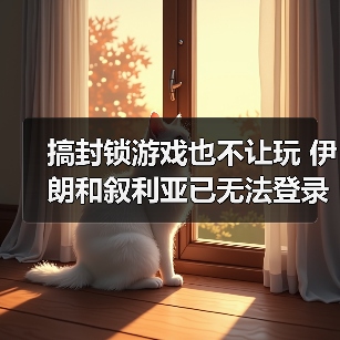 搞封锁游戏也不让玩 伊朗和叙利亚已无法登录《LOL》（图4）
