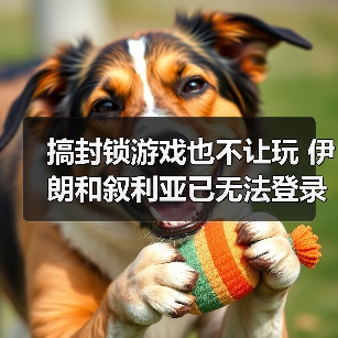 搞封锁游戏也不让玩 伊朗和叙利亚已无法登录《LOL》