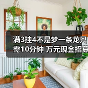 满3挂4不是梦一条龙只需10分钟 万元现金招募主播等你来（图3）