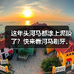 这年头河马都涂上泥膜了?快来看河马刷牙、去黑头!(图4) 这年头河马都涂上泥膜了?快来看河马刷牙、去黑头!(图4)