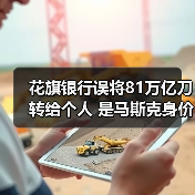 花旗银行误将81万亿刀转给个人 是马斯克身价的200倍（图3）