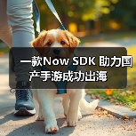 一款Now SDK 助力国产手游成功出海(图2) 一款Now SDK 助力国产手游成功出海(图2)