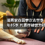 漫画家森田拳次去世享年85岁 代表作被誉为机器猫原型(图2) 漫画家森田拳次去世享年85岁 代表作被誉为机器猫原型(图2)