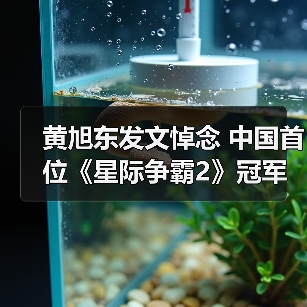 黄旭东发文悼念 中国首位《星际争霸2》冠军病逝（图4）