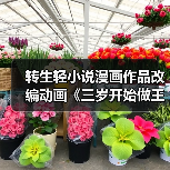 转生轻小说漫画作品改编动画《三岁开始做王者》公布全新预告 2025年4月开播(图1) 转生轻小说漫画作品改编动画《三岁开始做王者》公布全新预告 2025年4月开播(图1)