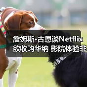 詹姆斯·古恩谈Netflix欲收购华纳 影院体验非常重要