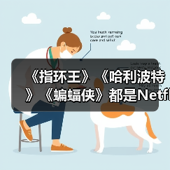 《指环王》《哈利波特》《蝙蝠侠》都是Netflix的了
