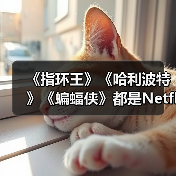 《指环王》《哈利波特》《蝙蝠侠》都是Netflix的了（图2）