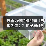 暴雪为何持续加码《守望先锋》？IP发展计划曝光（图2）