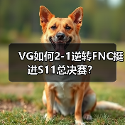 VG如何2-1逆转FNC挺进S11总决赛？（图2）