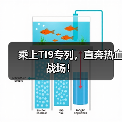乘上TI9专列，直奔热血战场！