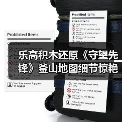 乐高积木还原《守望先锋》釜山地图细节惊艳曝光（图3）