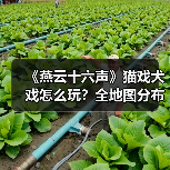 《燕云十六声》猫戏犬戏怎么玩？全地图分布解析（图3）