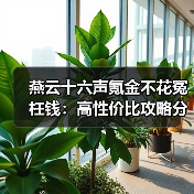 燕云十六声氪金不花冤枉钱：高性价比攻略分享（图2）