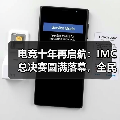 电竞十年再启航：IMC总决赛圆满落幕，全民赛事新篇章