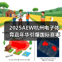 2025AEW杭州电子体育嘉年华引爆国际赛事，虚拟项目与动漫文化共舞（图2）