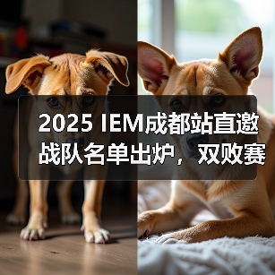 2025 IEM成都站直邀战队名单出炉，双败赛制谁能登顶？（图3）