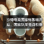 沙特电竞国家杯即将开启，国家队荣誉战引爆全球关注
