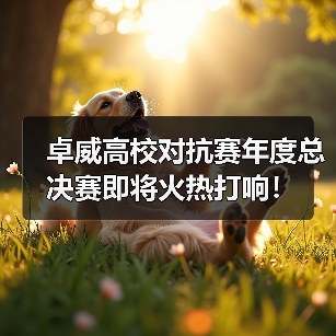卓威高校对抗赛年度总决赛即将火热打响！（图3）